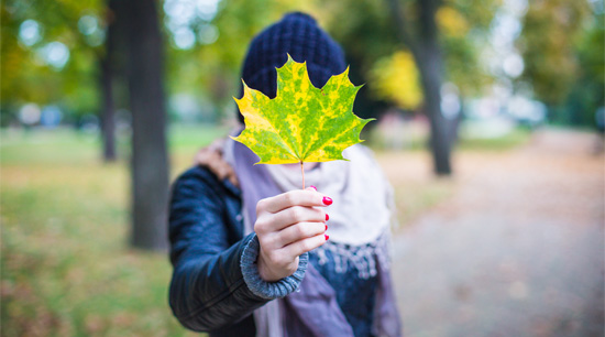 immobilier Respect de l'environnement